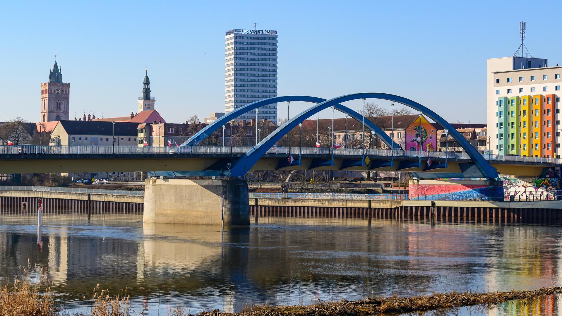 Blick von Słubice über eine feuchte Wiese am Grenzfluss Oder auf Frankfurt (Oder)