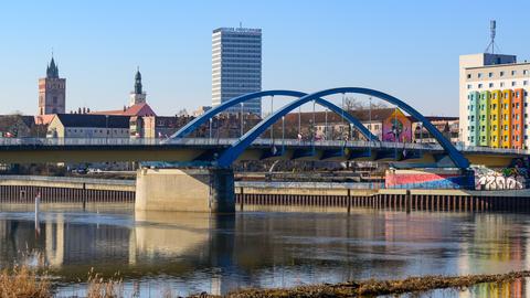 Blick von Słubice über eine feuchte Wiese am Grenzfluss Oder auf Frankfurt (Oder)