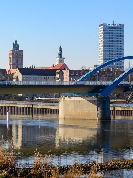 Blick von Słubice über eine feuchte Wiese am Grenzfluss Oder auf Frankfurt (Oder)