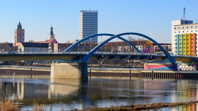 Blick von Słubice über eine feuchte Wiese am Grenzfluss Oder auf Frankfurt (Oder)