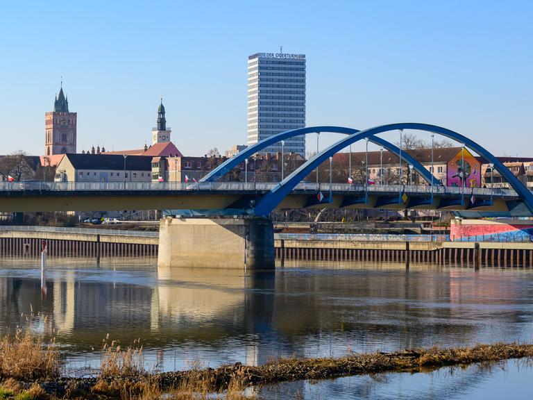 Blick von Słubice über eine feuchte Wiese am Grenzfluss Oder auf Frankfurt (Oder)