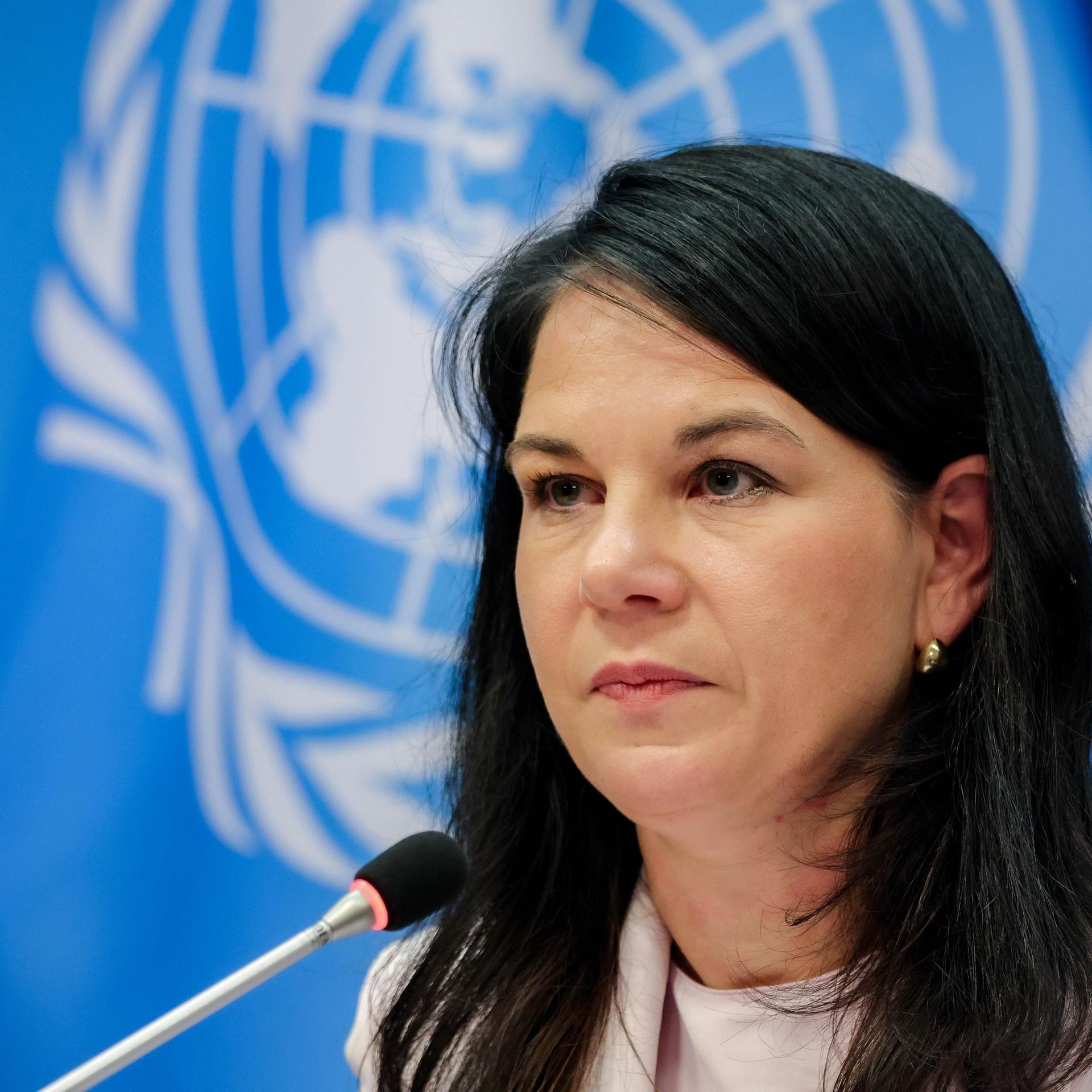 Streit um Grönland - Baerbock warnt vor weiterem Zerfall der regelbasierten Ordnung