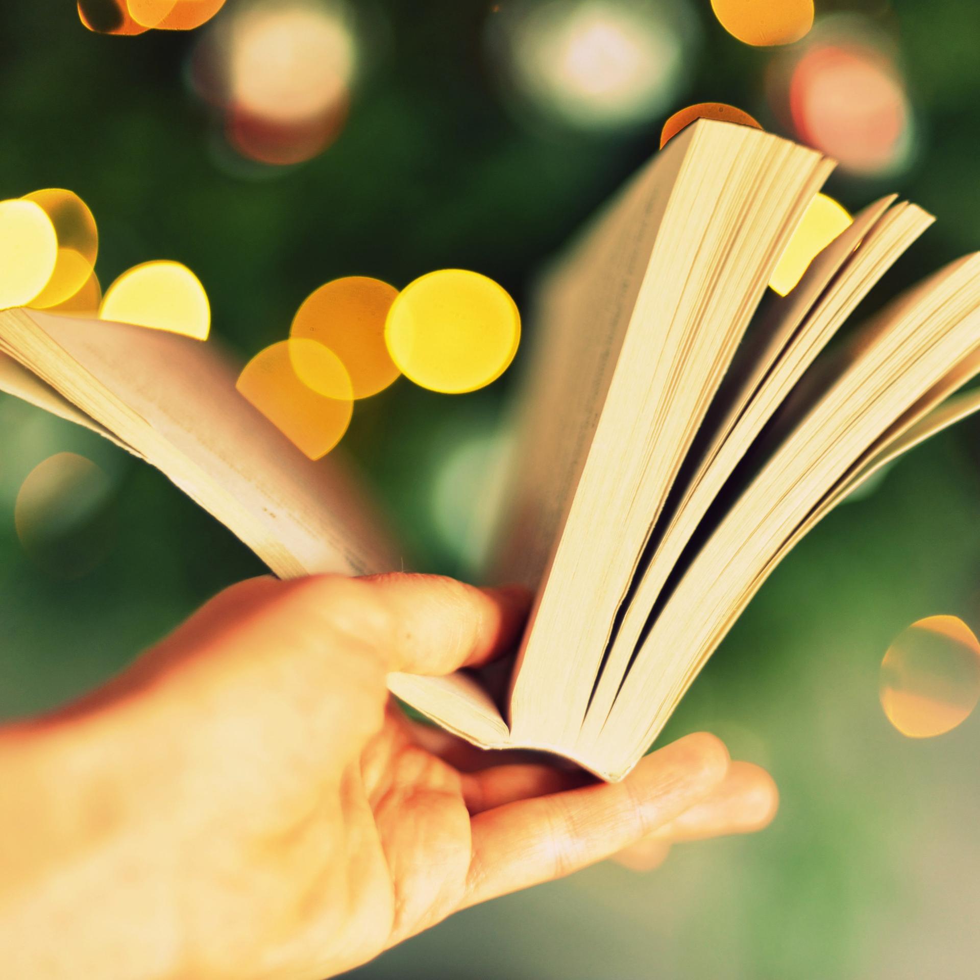 Buchtipps - Die besten Bücher für den weihnachtlichen Gabentisch