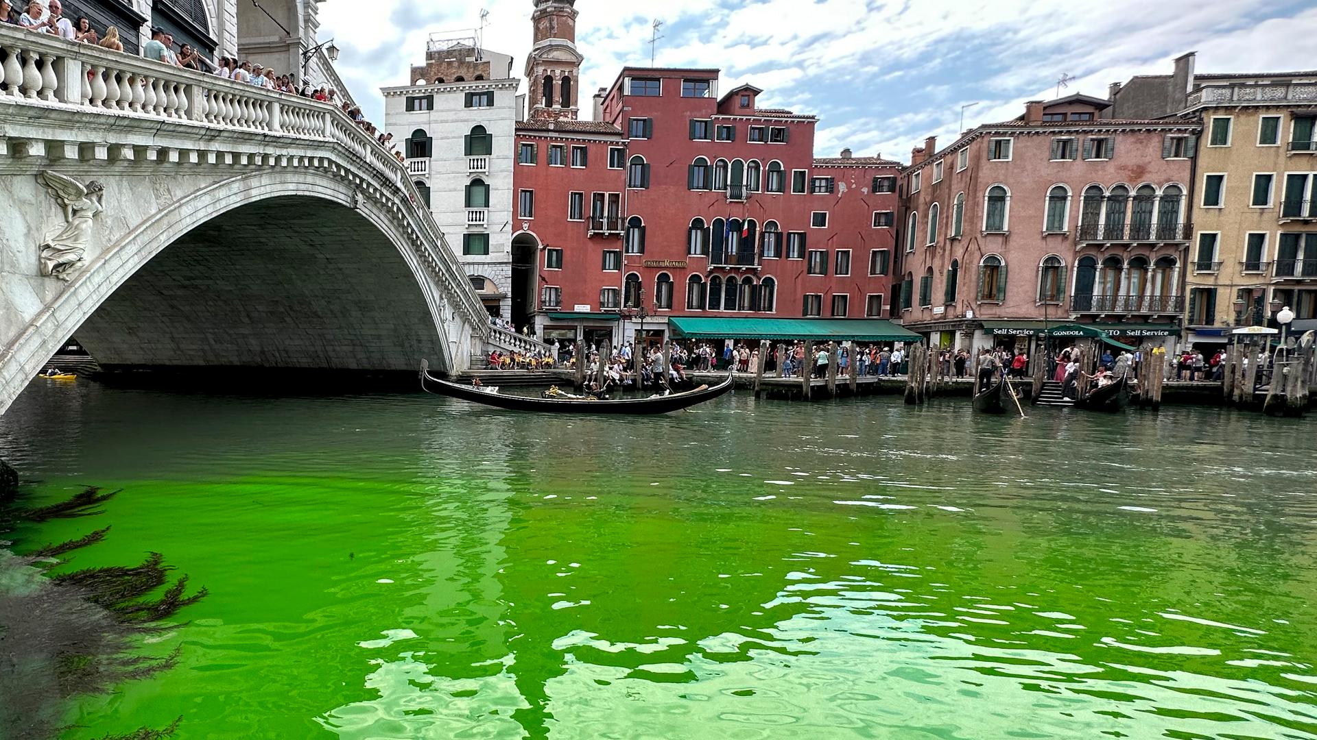 Das Wasser unter der berühmten Rialto-Brücke in Venedig leuchtet grün. 