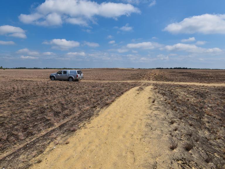 Ein Jeep fährt über offene Sandflächen in der Lieberoser Heide 