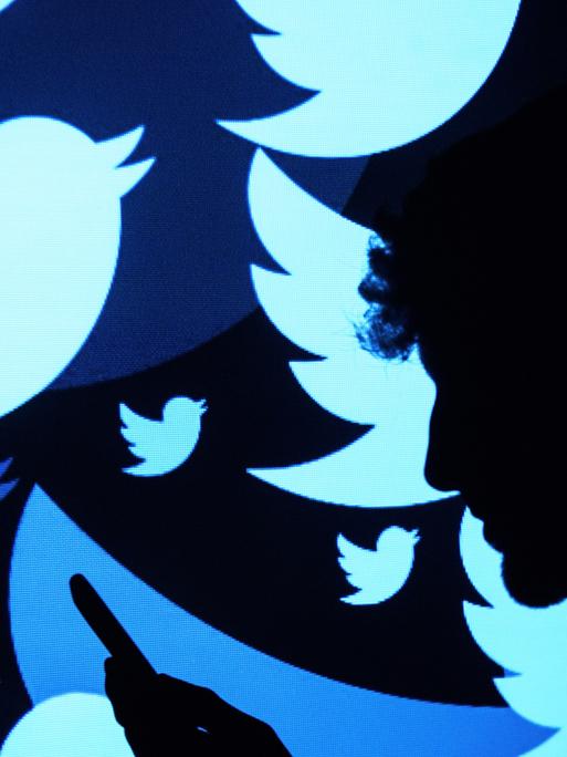 In einer Fotoillustration wird das Vogel-Logo des sozialen Netzwerks Twitter in unterschiedlichen Größen und Farben auf die Silhouette eines Mannes mit Handy in der Hand projiziert.
