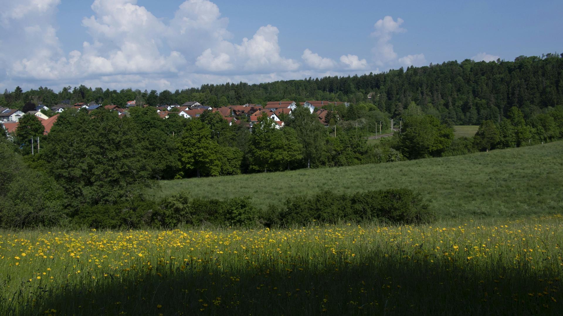 Wir sehen den Rand eines Dorfs, das von grünen Wäldern umgeben ist. 