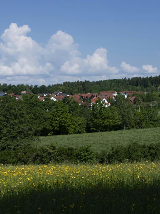 Wir sehen den Rand eines Dorfs, das von grünen Wäldern umgeben ist. 
