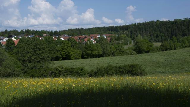 Wir sehen den Rand eines Dorfs, das von grünen Wäldern umgeben ist. 