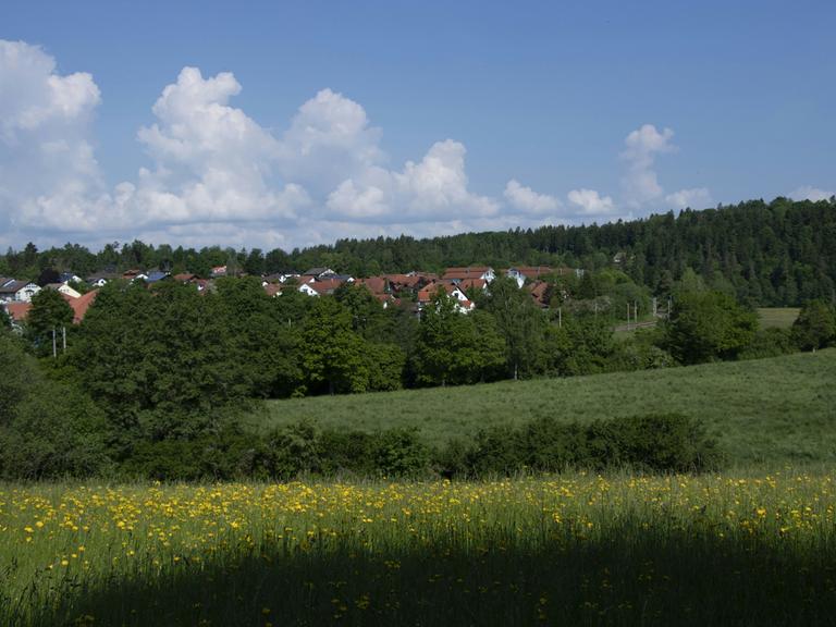Wir sehen den Rand eines Dorfs, das von grünen Wäldern umgeben ist. 
