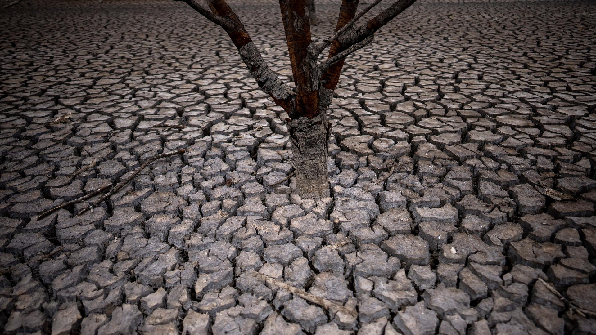 Rissige Erde, nachdem der Wasserstand im Sau-Stausee Vilanova de Sau, etwa 100 km nördlich von Barcelona.