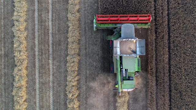 Ein Landwirt vom Landwirtschaftsbetrieb Markus Grund erntet mit einem Mähdrescher Getreide. Bis in den späten Abend  im Landkreis Oder-Spree in Ostbrandenburg Getreide der Sorte Triticale, eine Kreuzung aus Weizen und Roggen, geerntet.