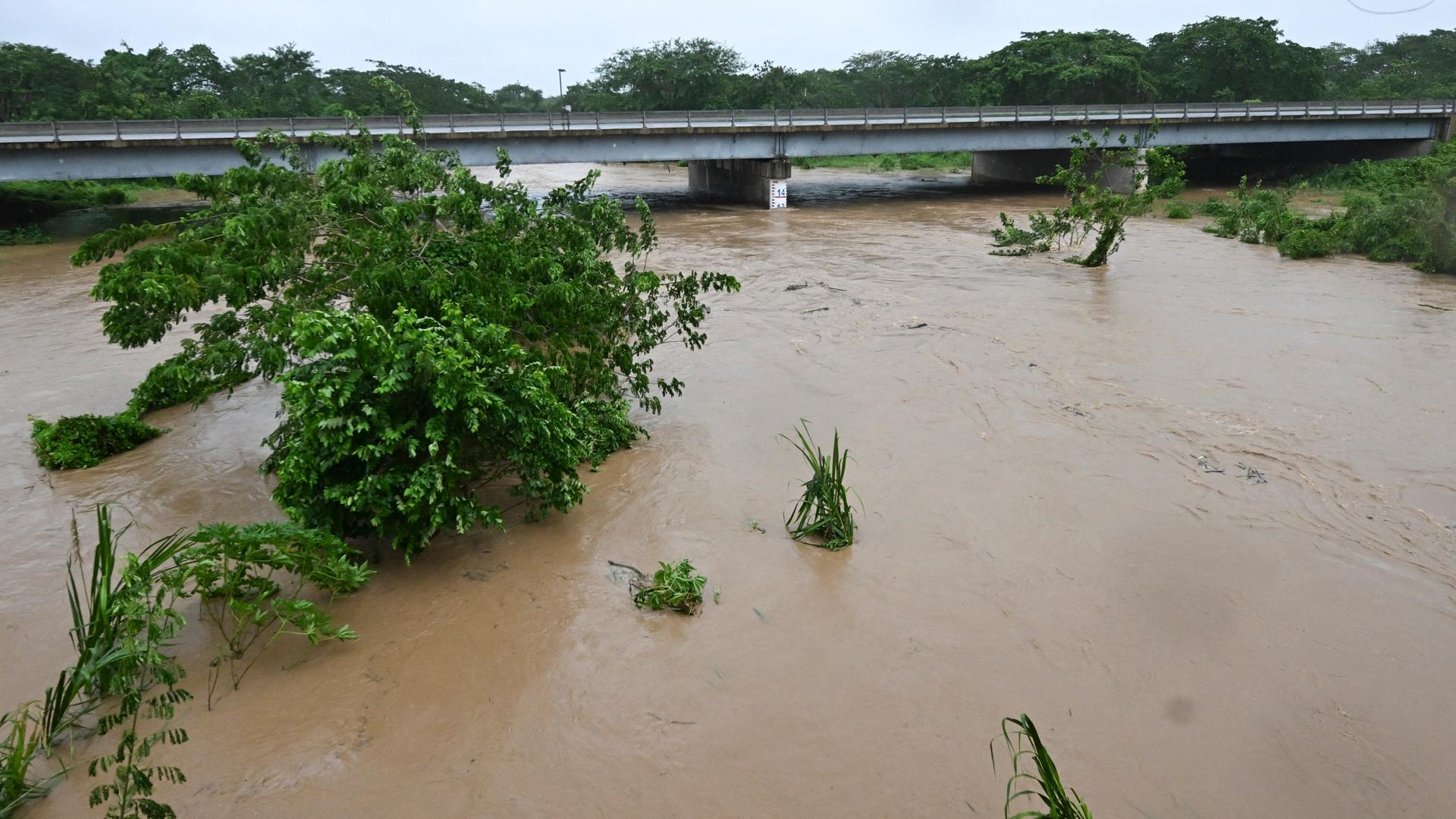 Der stark angeschwollene Fluss Rio Cobre nahe St. Catherine in Jamaika, er fließt ganz kurz unter einer Brücke durch. Der stark angeschwollene Fluss Rio Cobre nahe St. Catherine in Jamaika, er fließt ganz kurz unter einer Brücke durch.