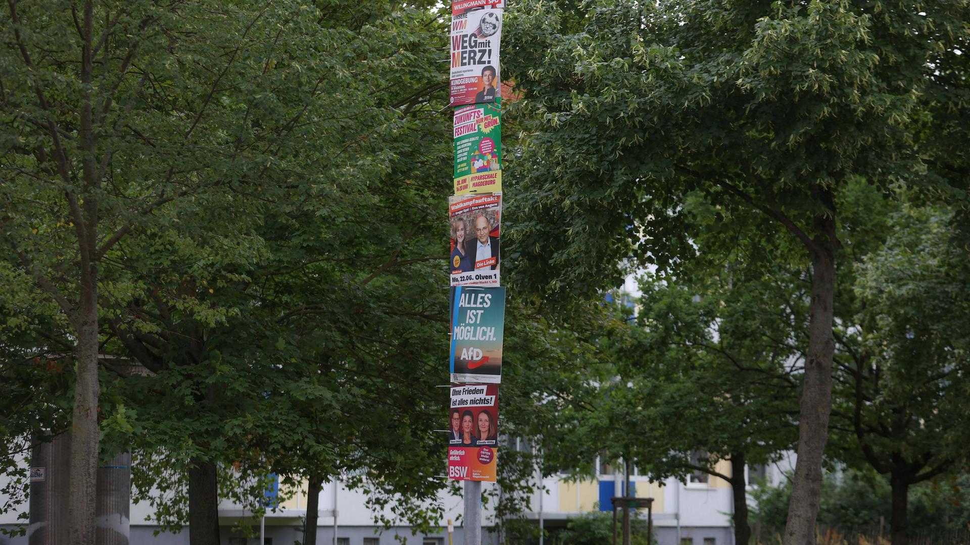 An einer Straßenlampe hängen untereinander verschiedene Wahlplakate zur Landtagswahl 2026 in Sachsen-Anhalt.