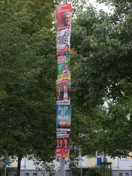 An einer Straßenlampe hängen untereinander verschiedene Wahlplakate zur Landtagswahl 2026 in Sachsen-Anhalt.