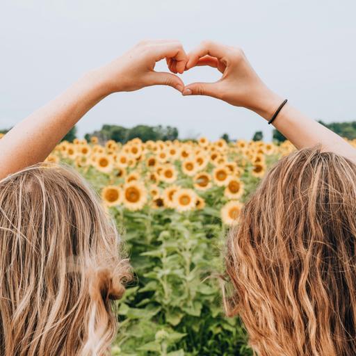 Zwei Freundinnen sitzen in einem Sonnenblumenfeld und formen mit ihren Händen ein Herz.