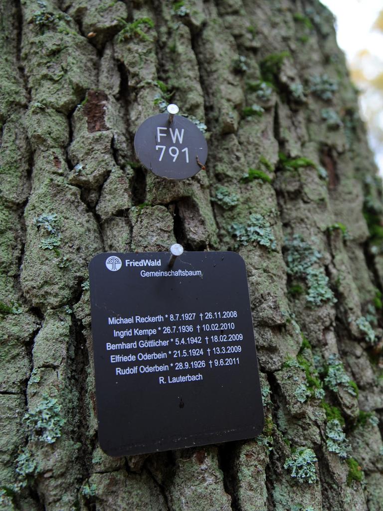 An einem Baum hängt eine Tafel mit den Namen der Bestatteten in einem sogenannten Friedwald oder auch Trauerwald