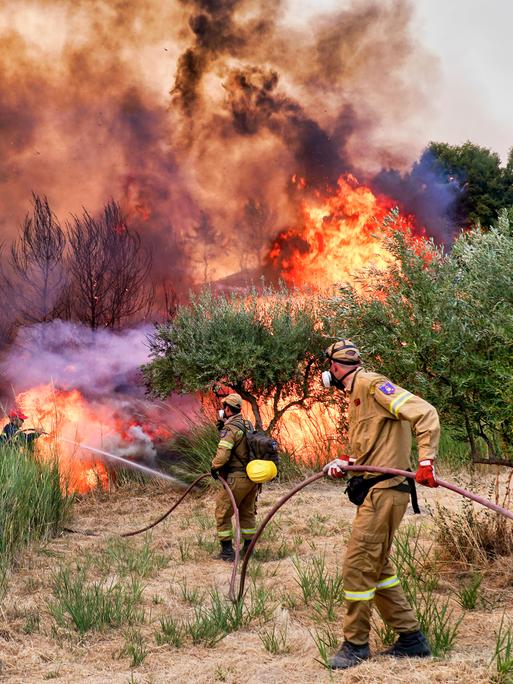 Feuerwehrleute löschen einen Flächenbrand in der Gegend des antiken Olympia in Griechenland.