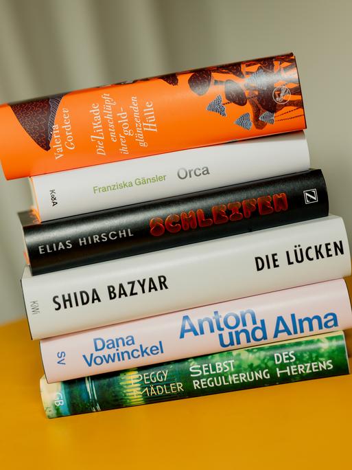 Die Bücher, die es auf die Shortlist geschafft haben, liegen auf einem Stapel. Die Bücher, die es auf die Shortlist geschafft haben, liegen auf einem Stapel.