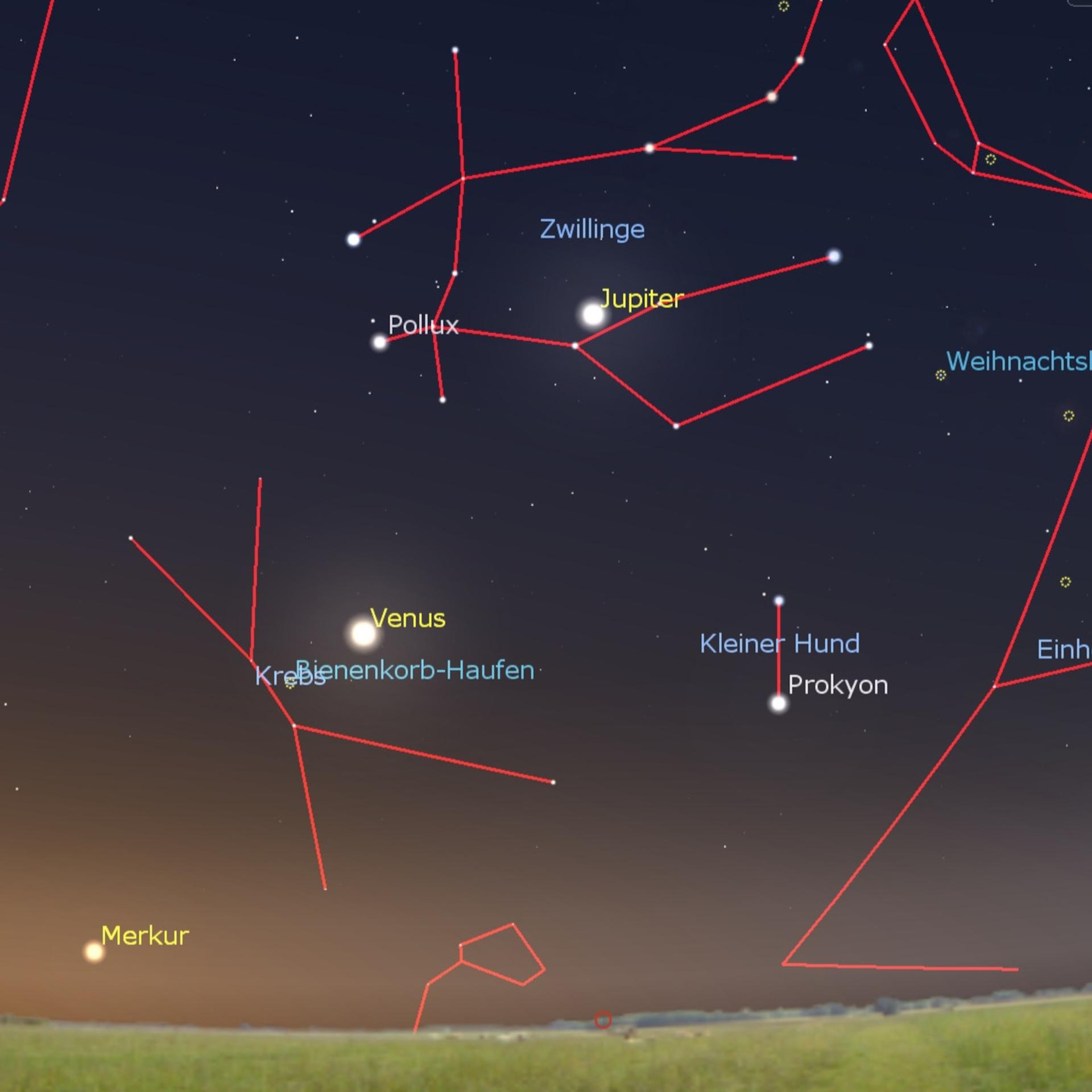 Sternhaufen Praesepe - Venus nascht an den Sternen der Krippe