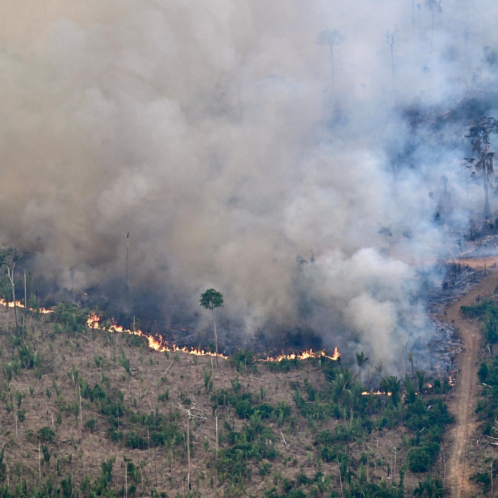 Luftaufnahme eines Waldbrands im Bezirk Labrea im brasilianischen Bundesstaat Amazonas - der dichte Rauch verdunkelt seit Tagen weite Bereiche des Landes.