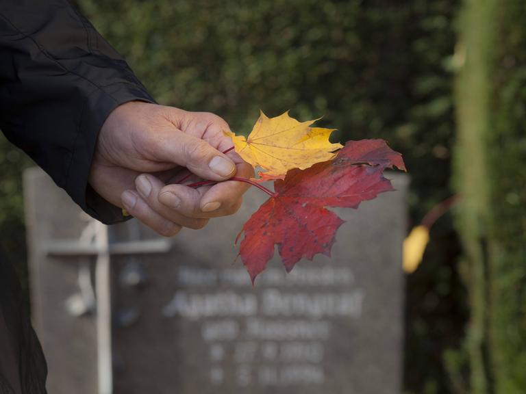 Eine männliche Hand hält Herbstlaub zwischen den Fingern auf einem Friedhof.