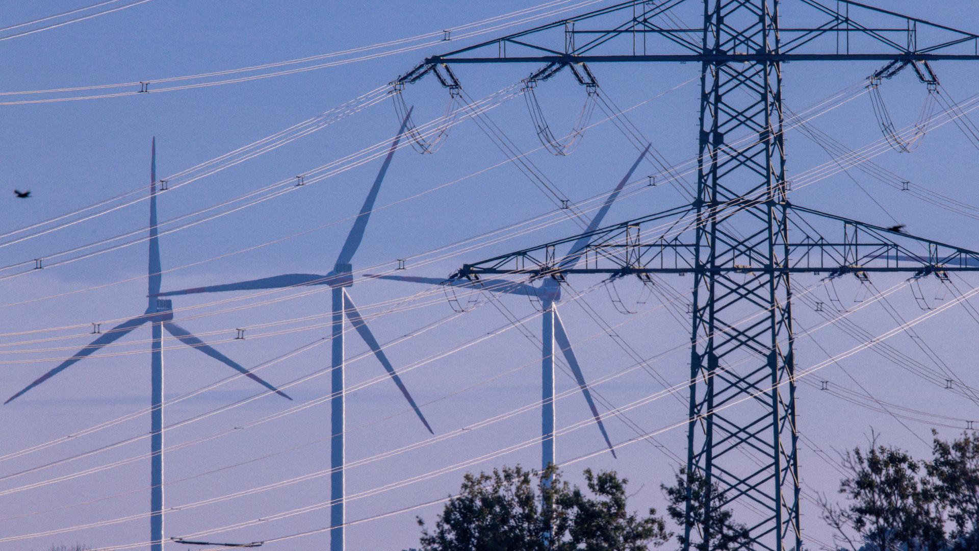 Groß Rogahn: Elektromasten sind in der Nähe einer Umspannstation in Schwerin zu sehen.