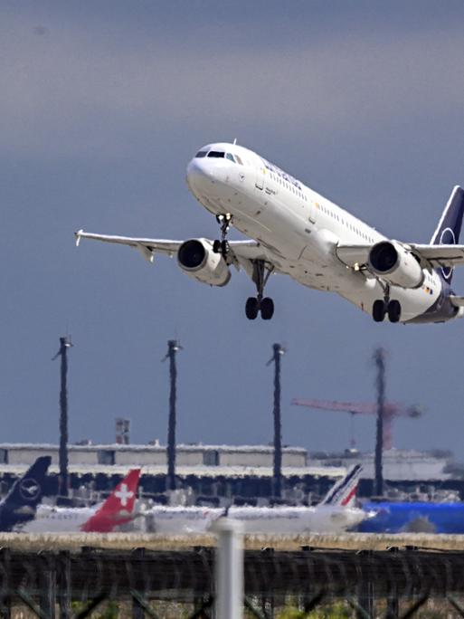 Ein Airbus der Fluggesellschaft Lufthansa hebt vom FLughafen "Willy Brandt" Berlin Brandenburg (BER) ab. 
