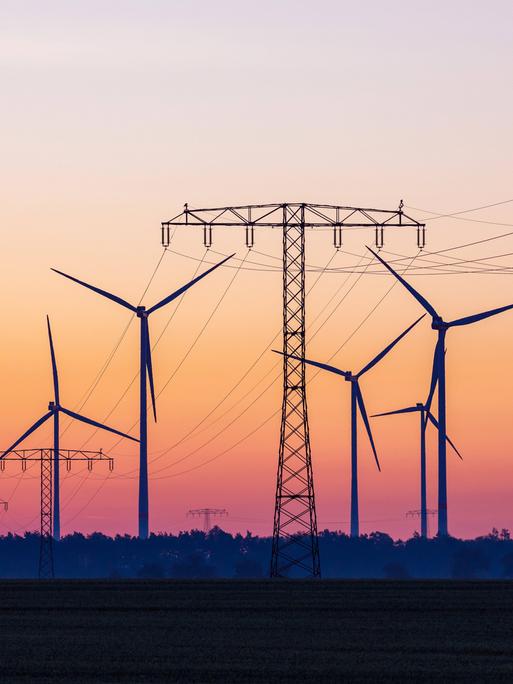 Vor einem orangenen Sonnenuntergang stehen mehrere Windräder und Stromleitungen.
Vor einem orangenen Sonnenuntergang stehen mehrere Windräder und Stromleitungen.