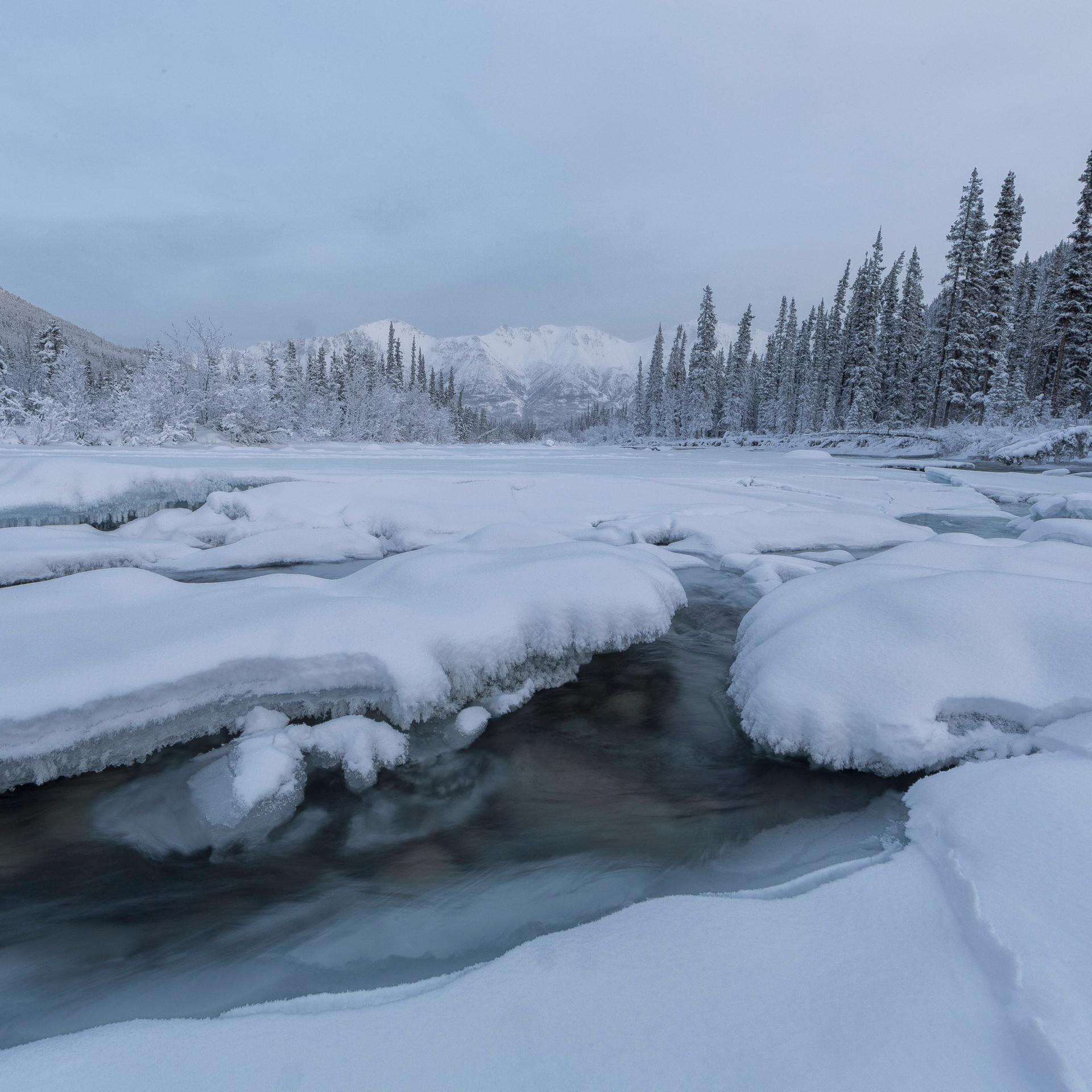 Ein Fluss schlängelt sich durch die Winterliche Schneelandschaft im Norden Kanadas.