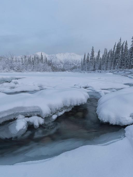 Ein Fluss schlängelt sich durch die Winterliche Schneelandschaft im Norden Kanadas.