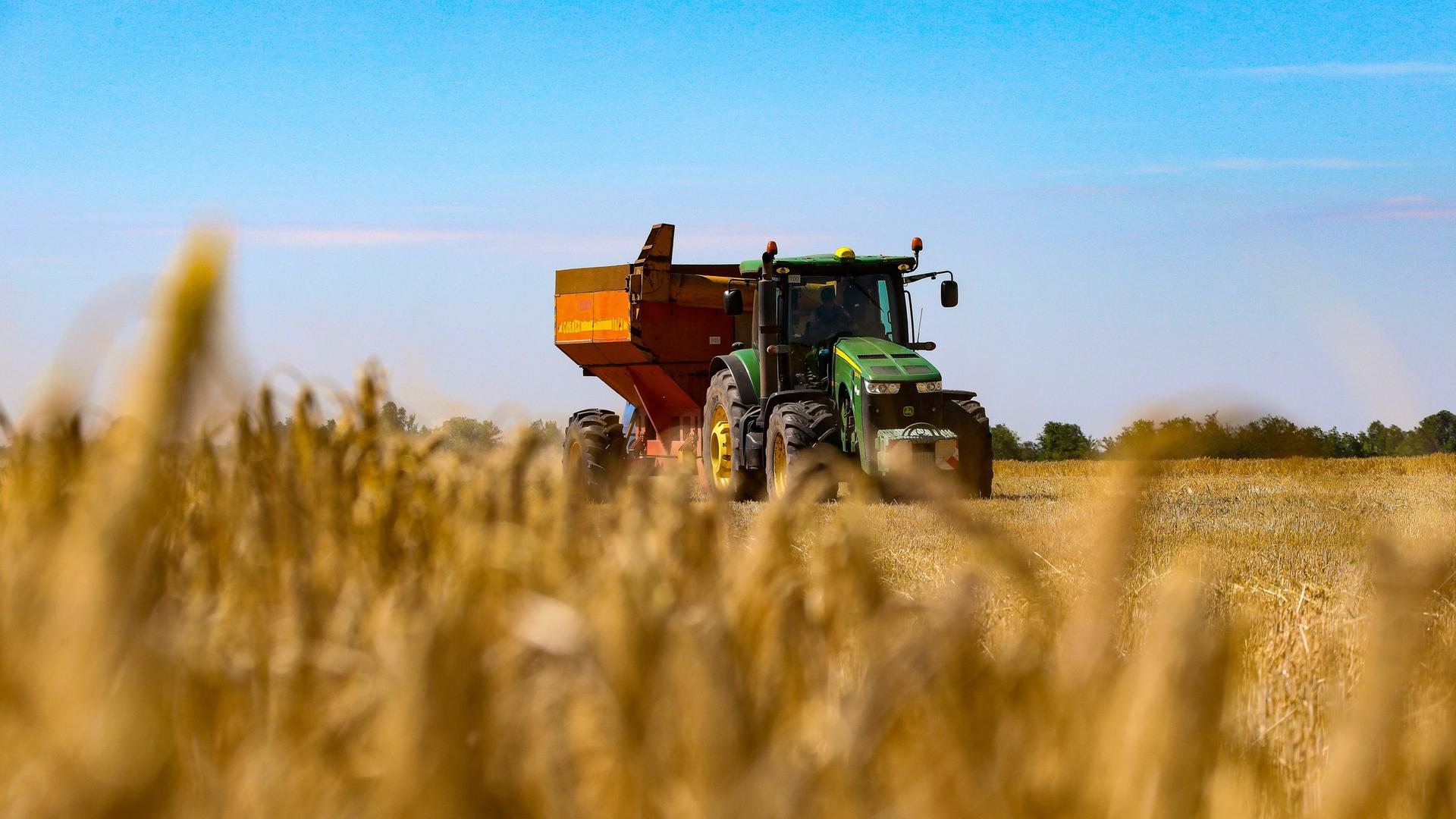 Krieg gegen die Ukraine - Warschau und Kiew erzielen Durchbruch bei Verhandlungen über Getreideimporte