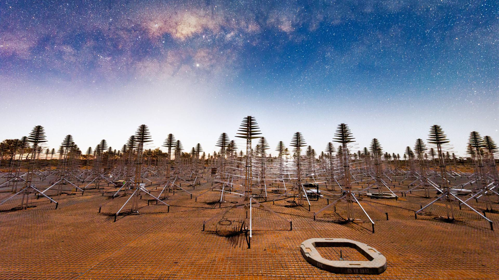 Zahlreiche Teleskope stehen aufgereiht hintereinander auf Sandboden und richten sich in den Sternenhimmel.