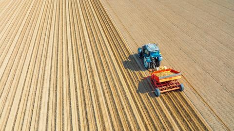 Ein Traktor pflanzt auf einem Feld Kartoffeln.
