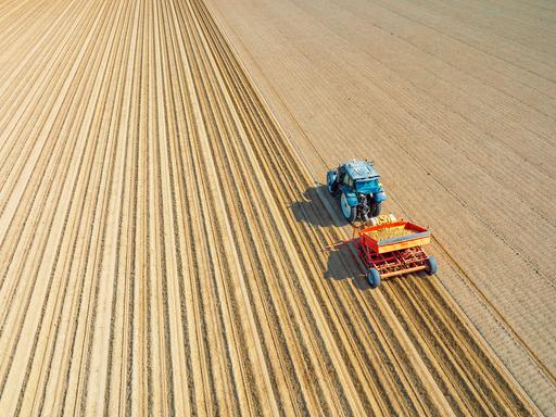 Ein Traktor pflanzt auf einem Feld Kartoffeln.