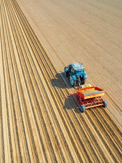 Ein Traktor pflanzt auf einem Feld Kartoffeln. Ein Traktor pflanzt auf einem Feld Kartoffeln.