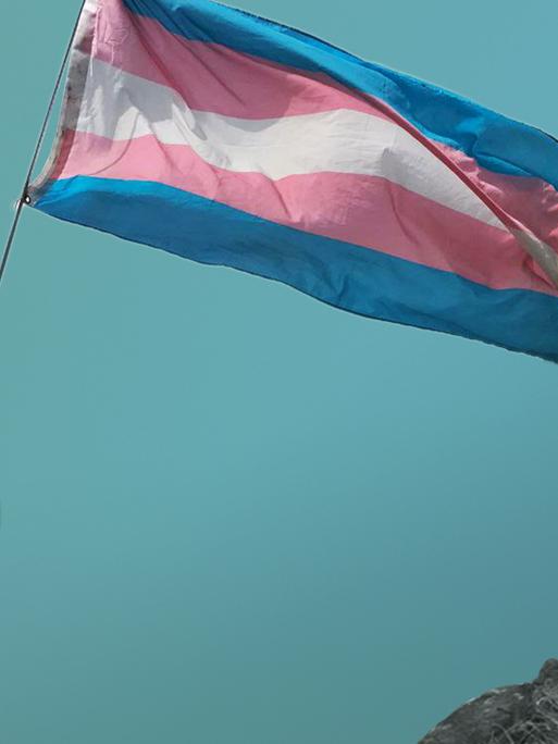 Dean steht in Jeans und weißem T-Shirt von hinten fotografiert mit einer blau-rosa-weiß gestreiften Transflagge in der Hand vor einem blauen Hintergrund mit Bergen.