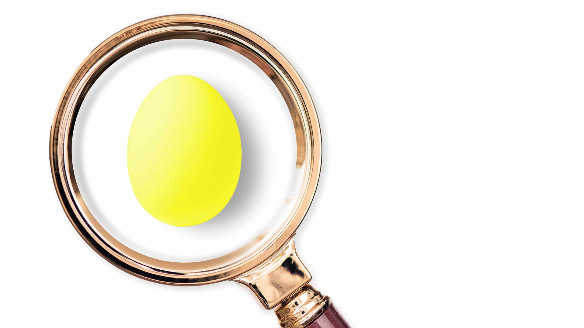 Ein gelbes Osterei unter einer großen Lupe