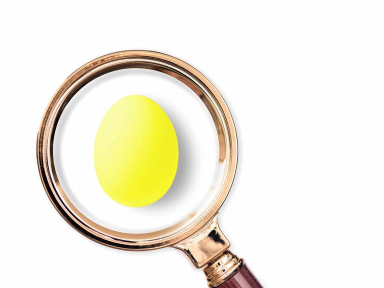Ein gelbes Osterei unter einer großen Lupe Ein gelbes Osterei unter einer großen Lupe