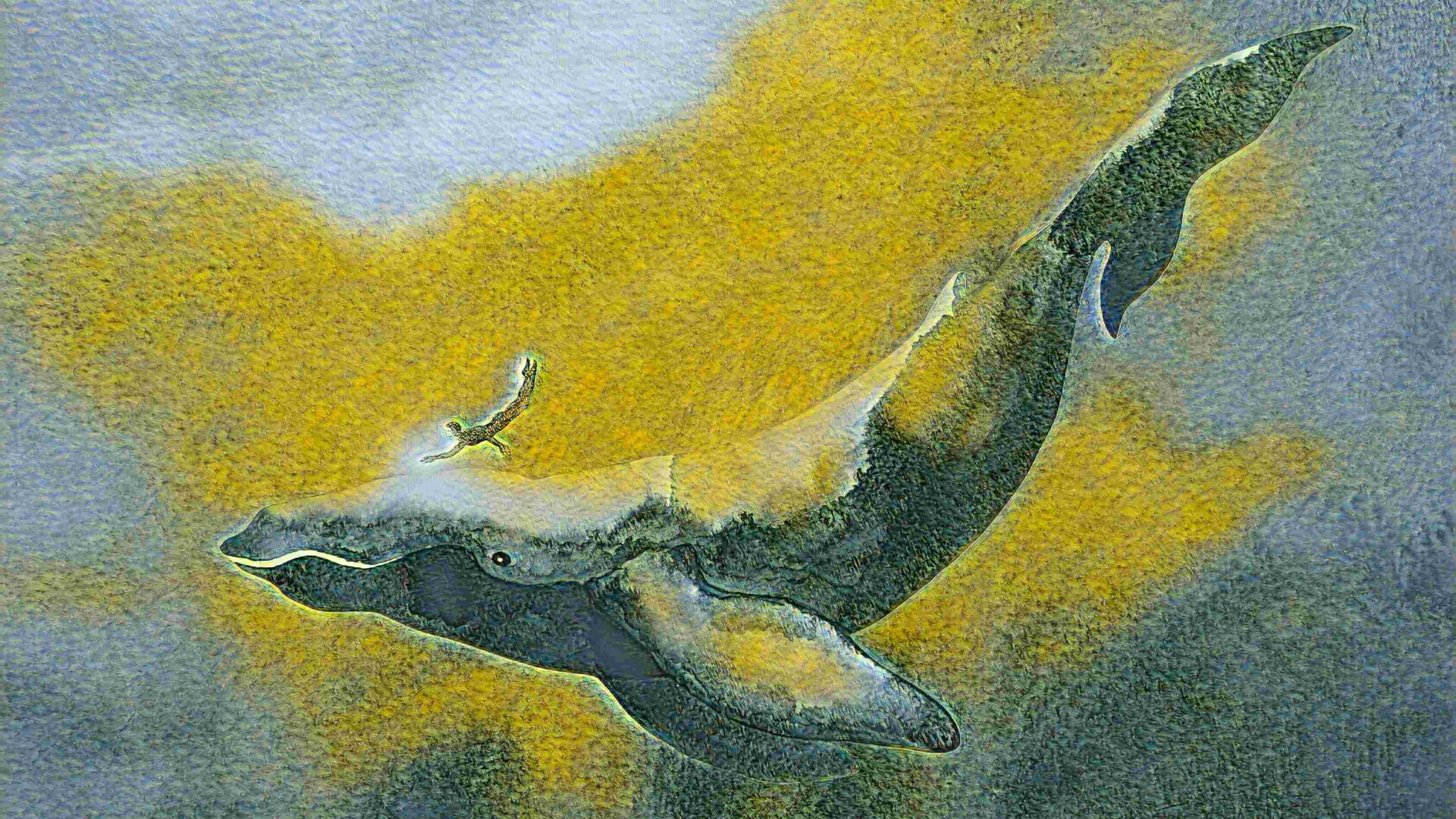 Illustration eines Wals und eines Menschen, die gemeinsam unter Wasser tauchen
