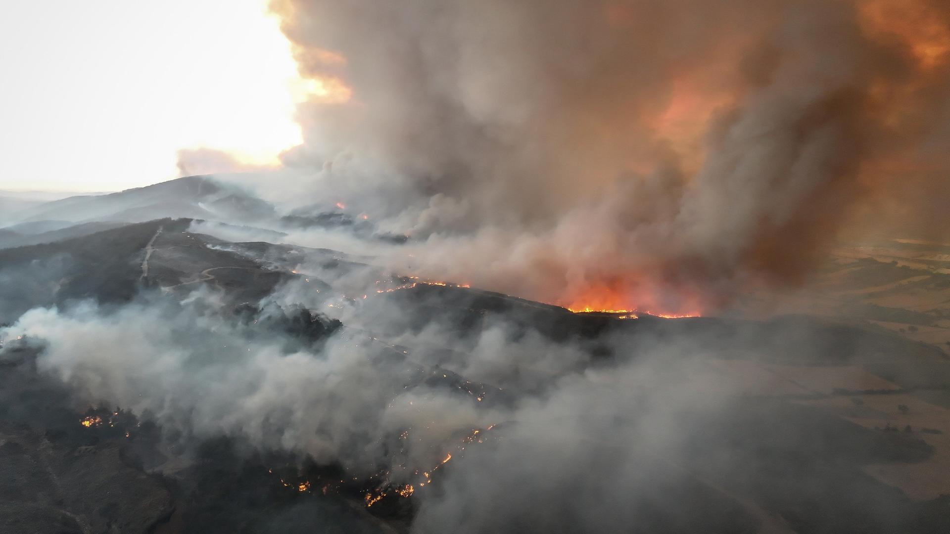 Waldbrände auf der Halbinsel Gelibolu in der Türkei