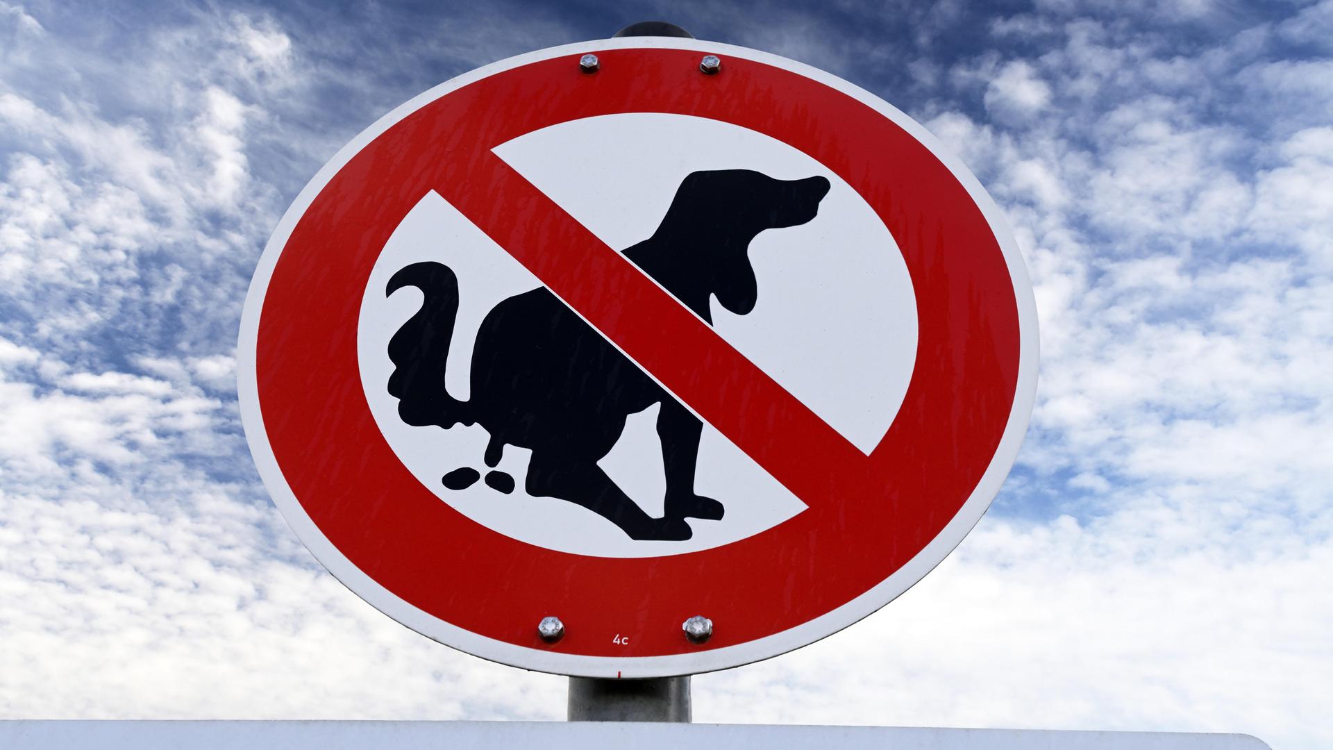 Ein Verbotsschild weist daraufhin, dass Hunde an dieser Stelle ihr Geschäft nicht verrichten dürfen.

