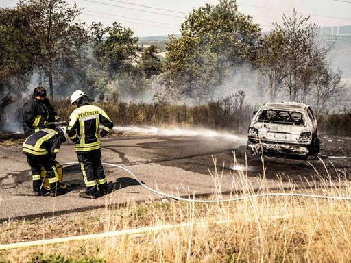 Feuerwehrleute löschen ein in Brand geratenes Auto. Ein Wald- und Vegetationsbrand ist bei Reichenbach ausgebrochen. Auslöser war nach Angaben der Einsatzleitung ein in Brand geratenes Auto, von dem sich das Feuer rasant im Gelände ausbreitete.