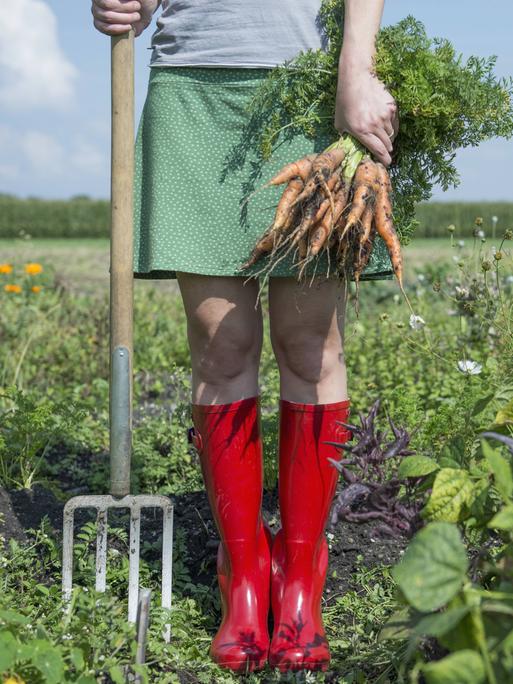 Symbolfoto: Eine Person in roten Gummstiefeln steht mit einer Heugabel und frisch geernteten Karotten in einem blühenden Feld