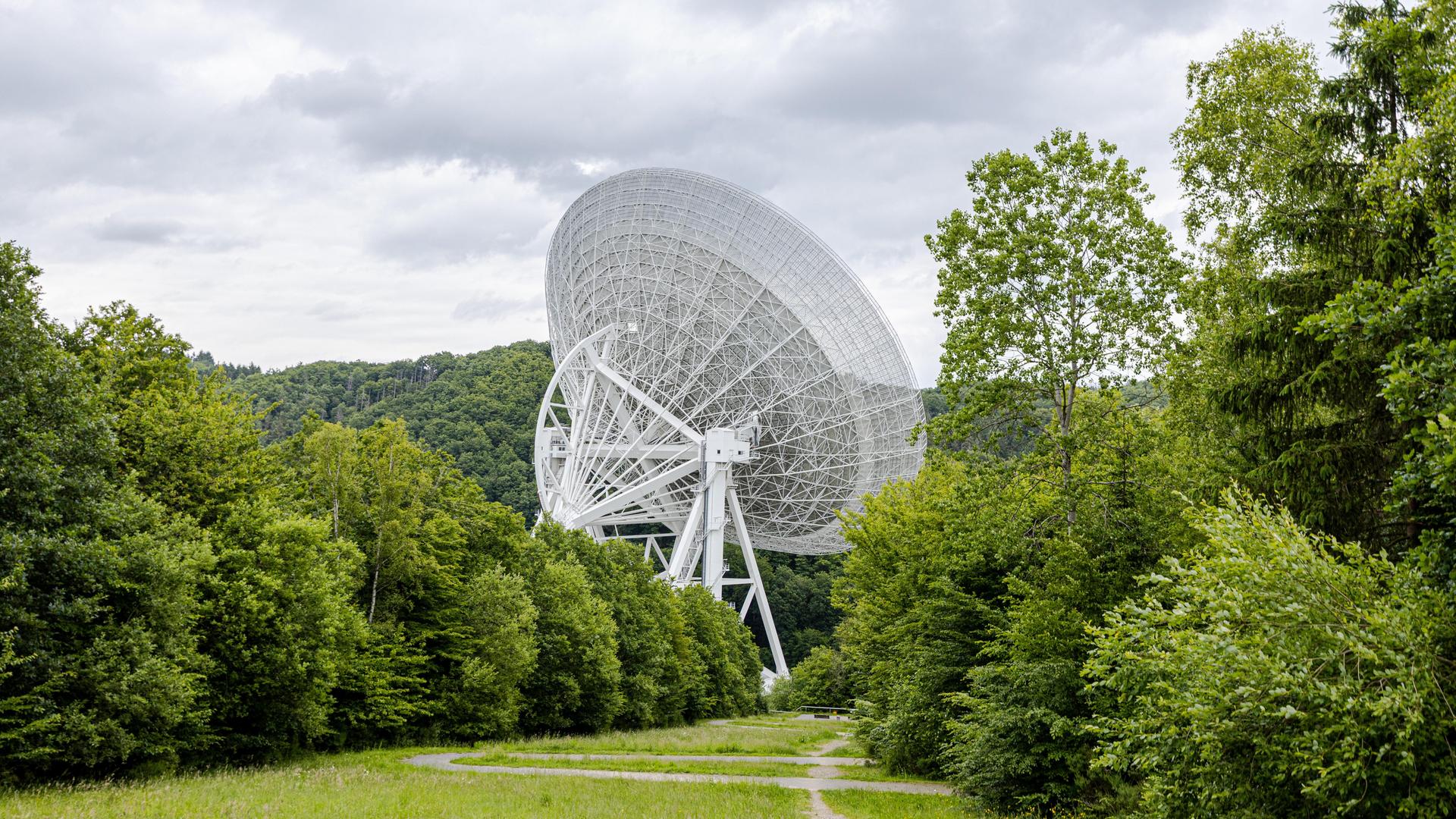 Blick auf das von Grün umgebene Radioteleskop Effelsberg, dessen 100 Meter durchmessender Parabolspiegel die Landschaft prägt.