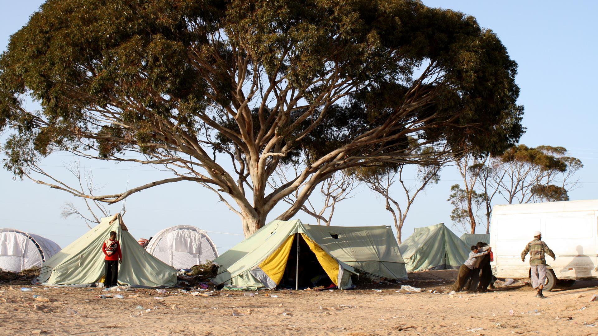 Westafrikanische Flüchtlinge hausen in Zelten unter einem Baum