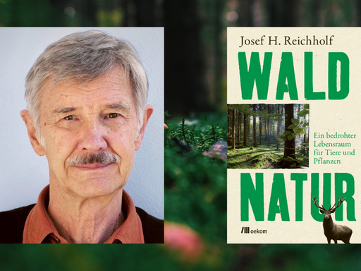 Ein Portrait des Autors Josef H. Reichholf und das Cover von "Waldnatur. Ein bedrohter Lebensraum für Tiere und Pflanzen" vor Moosboden Ein Portrait des Autors Josef H. Reichholf und das Cover von "Waldnatur. Ein bedrohter Lebensraum für Tiere und Pflanzen" vor Moosboden