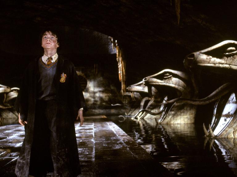 Harry Potter (Daniel Radcliffe) geht im neuen Kinofilm "Harry Potter und die Kammer des Schreckens" einen dunklen Weg entlang, an dessen Seiten aus Stein gemeiÃelte Schlangenköpfe stehen (Szenenfoto). Für den Zauberlehrling Harry beginnt das zweite Ausbildungsjahr an der Hogwarts-Schule für Hexerei und Zauberei. Dort sind seine Heldentaten aus dem ersten Jahr inzwischen Tagesgespräch. Als ein unfassbarer und unheimlicher Schrecken von Hogwarts Besitz ergreift, entschlieÃen sich Harry und seine Freunde der finsteren Macht gegenübertreten, die ihre geliebte Schule bedroht. Ein gefährliches Abenteuer nimmt seinen Lauf... Starttermin der Fortsetzung des Erfolgsfilms "Harry Potter und der Stein der Weisen" (2001) nach der Romanvorlage von J. K. Rowling ist der 14.11.2002.