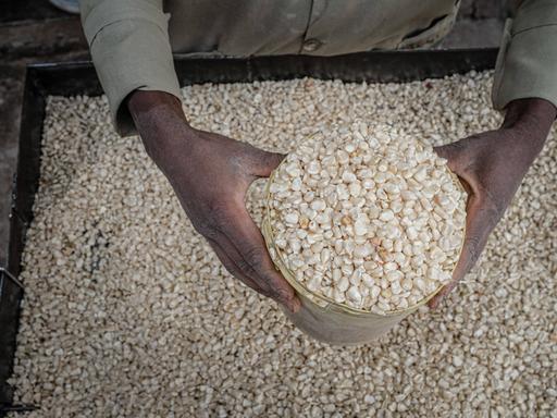 January 14, 2022, Nairobi, Kenya: A grain mill worker prepares maize for sale by his Posho mill shop in Kibera Slums, N January 14, 2022, Nairobi, Kenya: A grain mill worker prepares maize for sale by his Posho mill shop in Kibera Slums, N