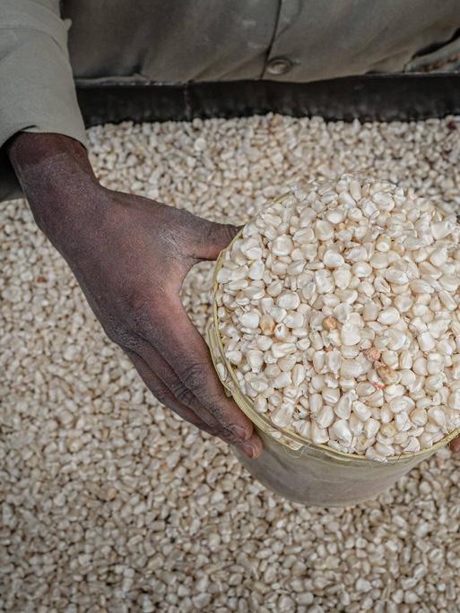 January 14, 2022, Nairobi, Kenya: A grain mill worker prepares maize for sale by his Posho mill shop in Kibera Slums, N January 14, 2022, Nairobi, Kenya: A grain mill worker prepares maize for sale by his Posho mill shop in Kibera Slums, N